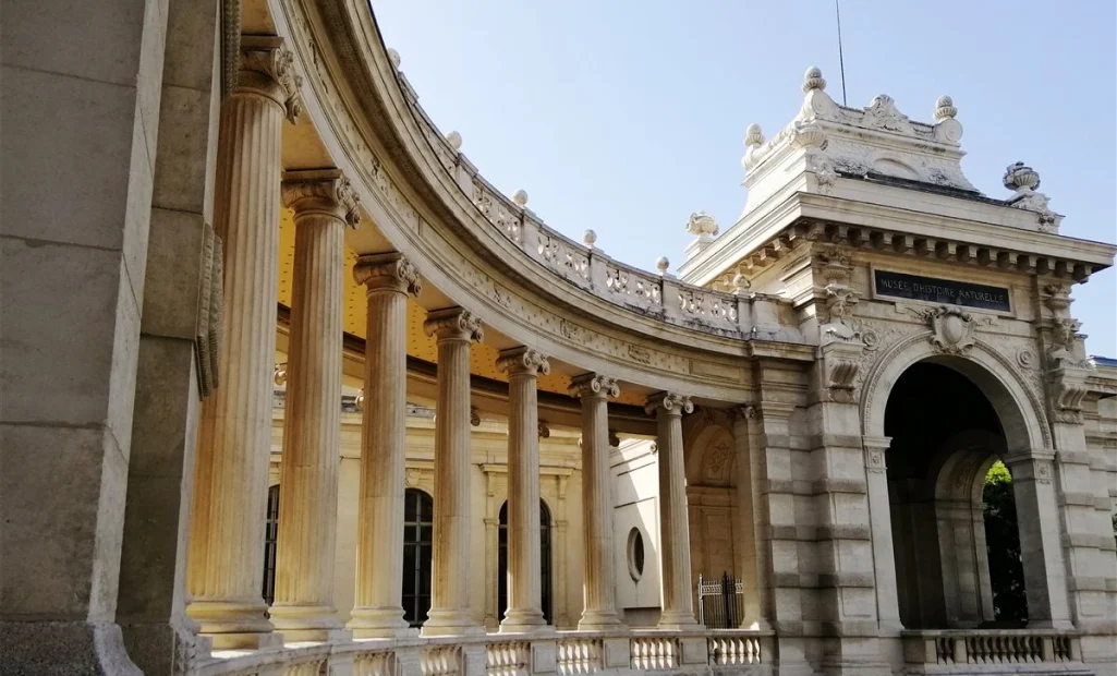 3D scanning for cultural heritage
